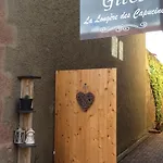 別荘 F2 Avec Jardin Privatif, Climatisation, Et Parking - Au Coeur Du Vignoble Alsacien ! - Fr-1-744-1 *