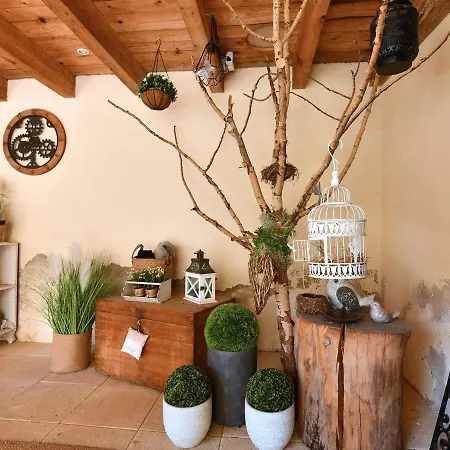 F2 Avec Jardin Privatif, Climatisation, Et Parking - Au Coeur Du Vignoble Alsacien ! - Fr-1-744-1 * Bergholtz